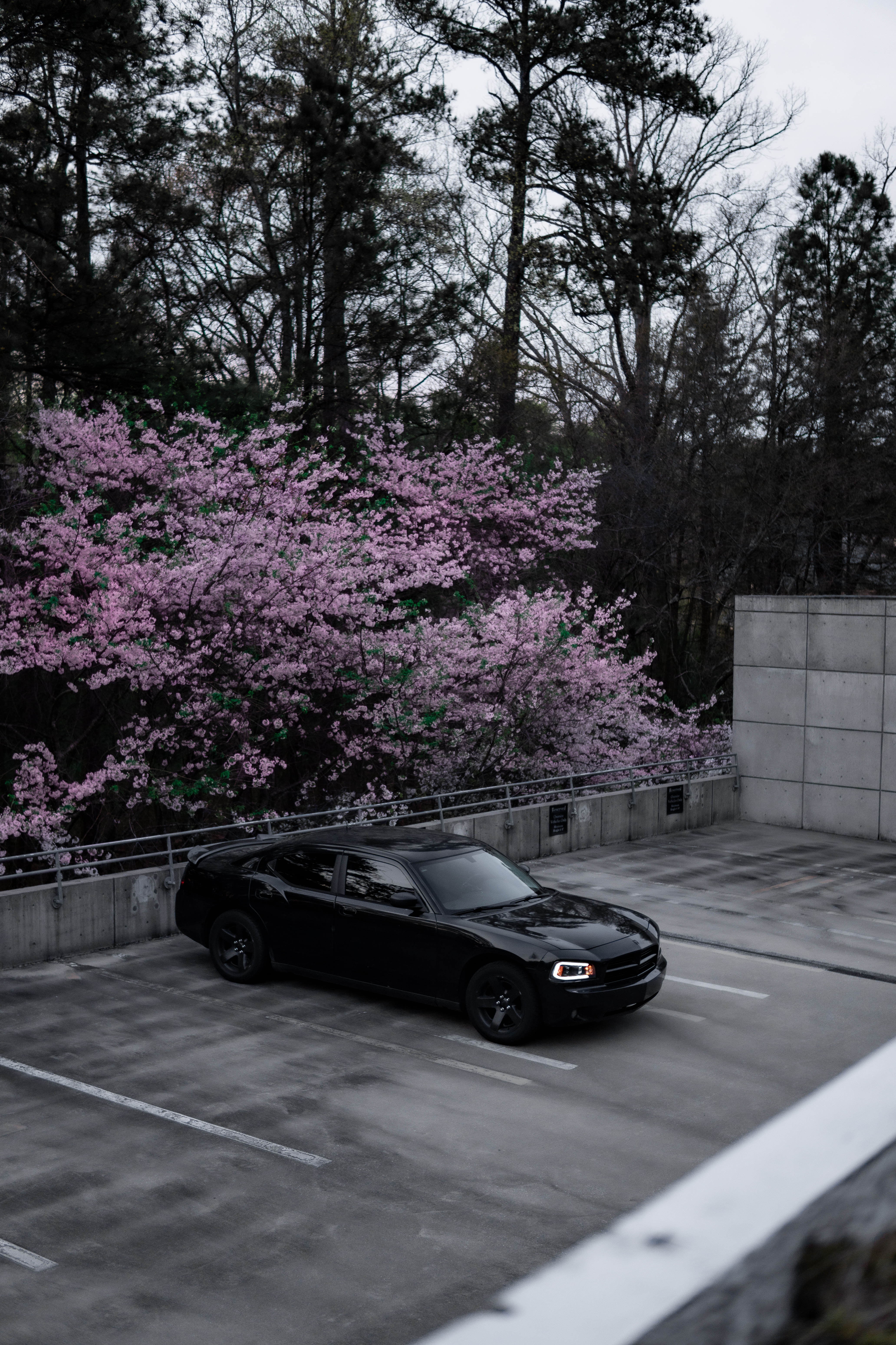 2008 Dodge Charger Pursuit private shoot — Duluth GA — SF Media