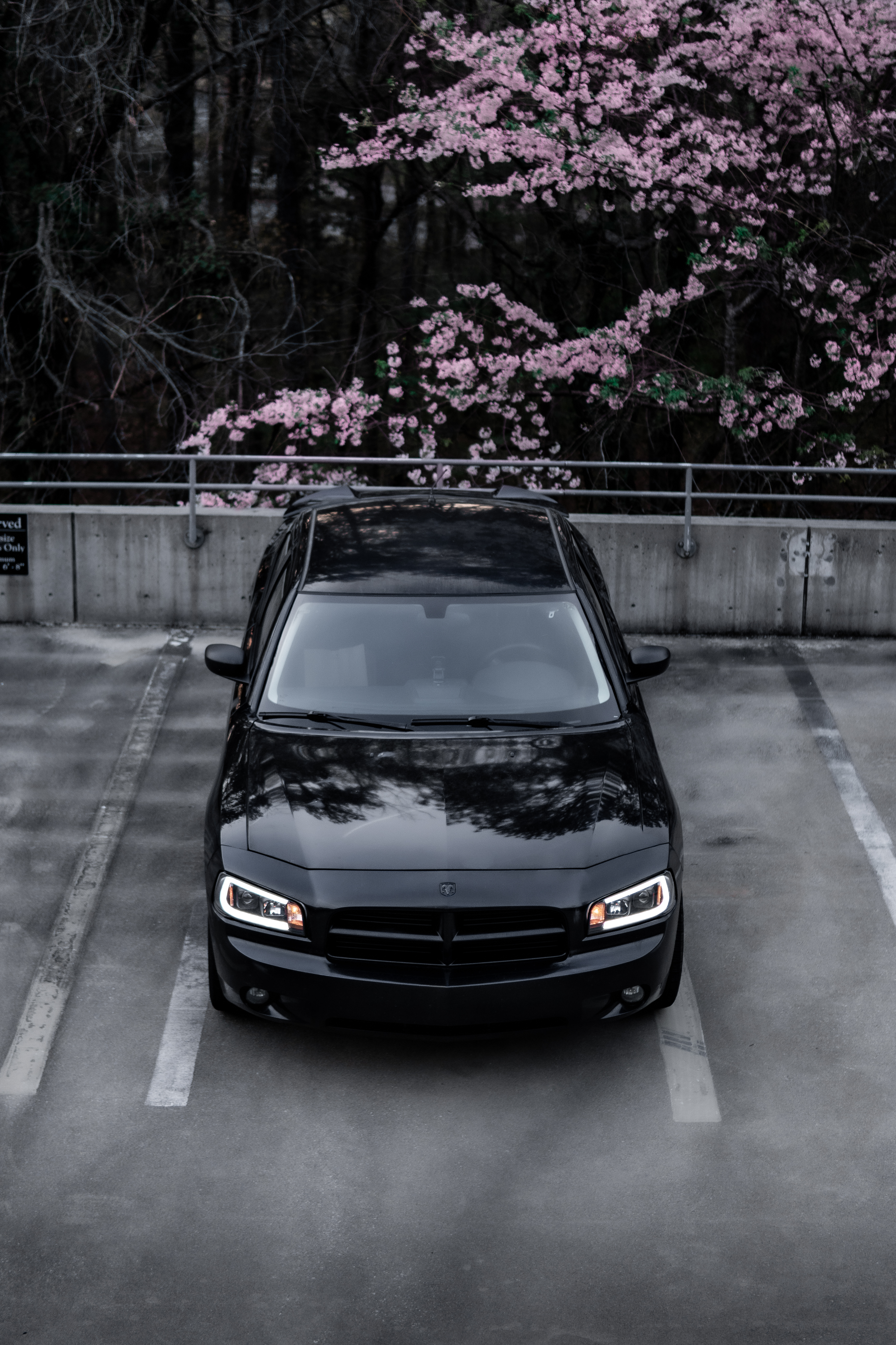Charger Pursuit photography session — SF Media Georgia
